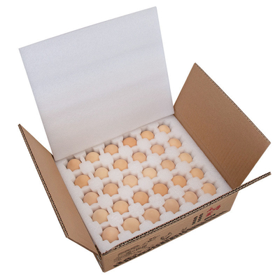 خرید حفاظت از حمل و نقل با چگالی بالا بسته بندی تخم مرغ کف EPE برش online manufacture